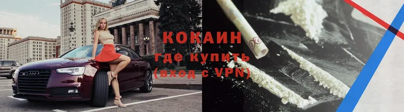 COCAIN Fish Scale  Красный Холм 